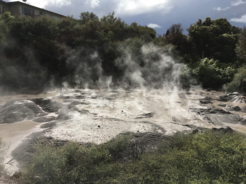 Kuirau Park - Mud Pools - Kuirau Park - Mud Pools Kuirau Street, Rotorua 3010, New Zealand