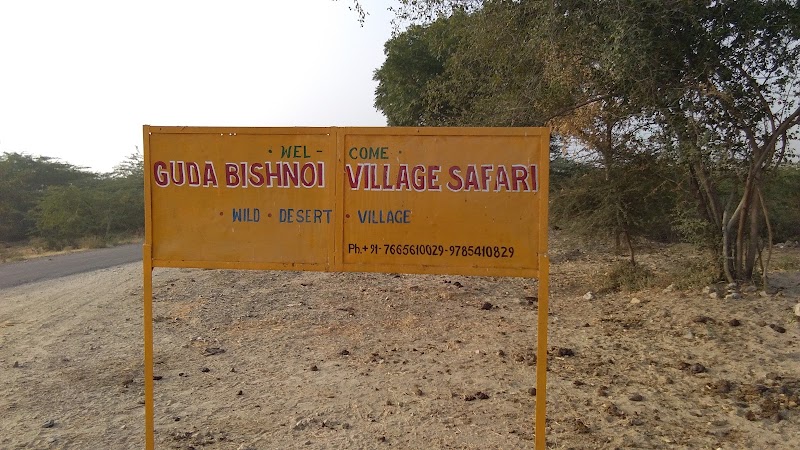 GUDA BISHNOI VILLAGE SAFARI - GUDA BISHNOI VILLAGE SAFARI, near guda bishnoi lake, Village Guda, Bishnoi, Rajasthan 342802, India