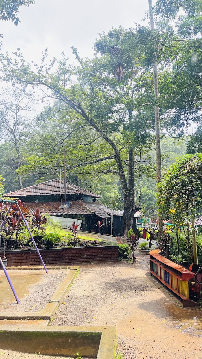 Pookode Lakeview - Pookode Lakeview, G2RG+VJF, Pookode, Kunnathidavaka, Keralam 673576, India