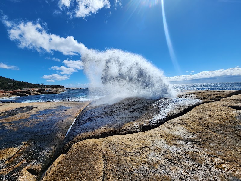 Bicheno Blowhole - Bicheno Blowhole, Douglas St, Bicheno TAS 7215, Australia