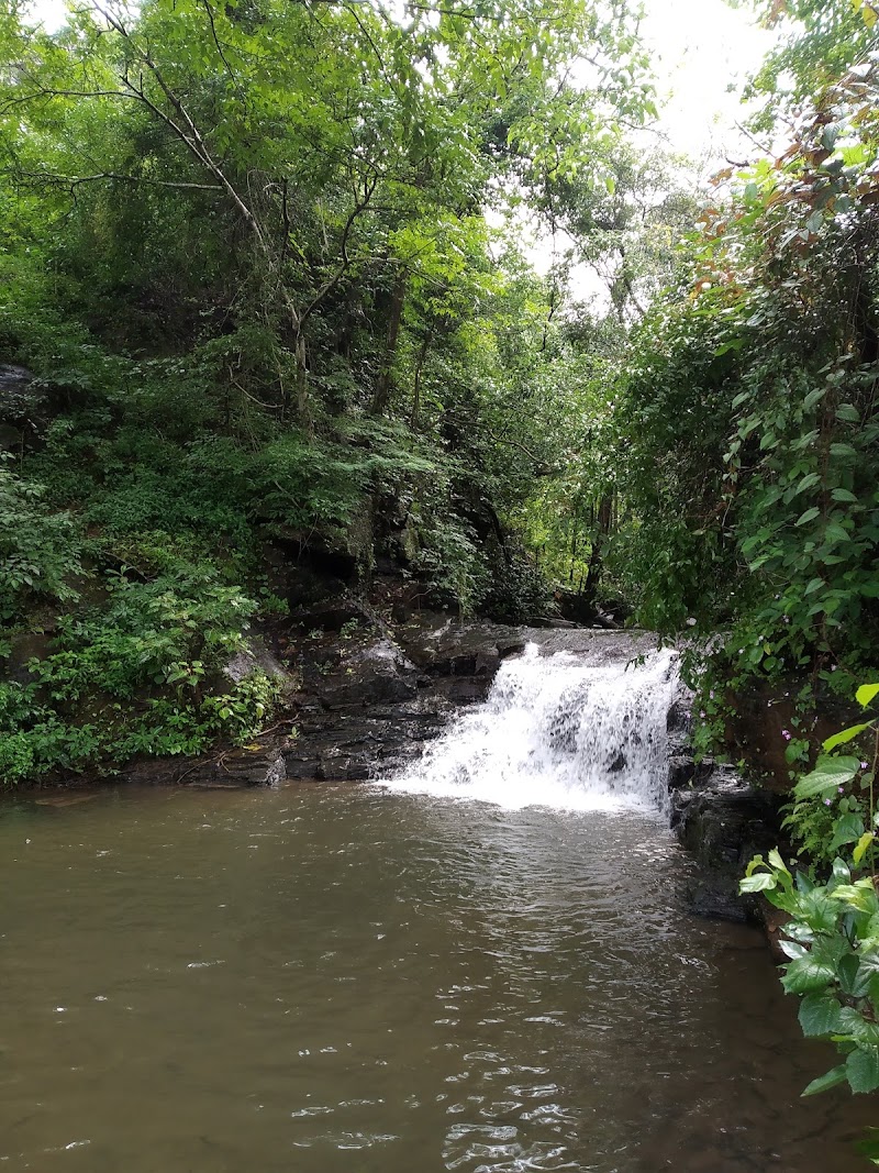 Hivrem Waterfall - Hivrem Waterfall, J4WX+HQ6, Ivre Khurd, Goa 403506, India