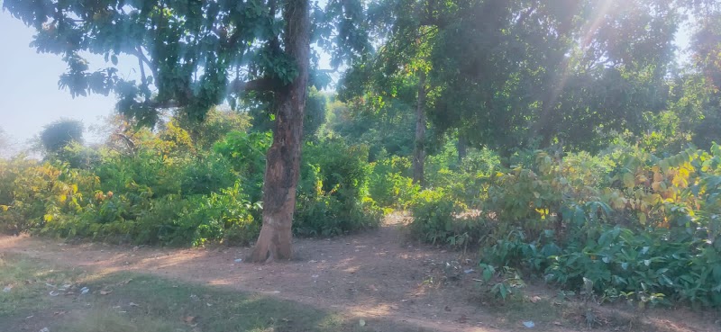 Picnik Spot Pondi - Picnik Spot Pondi 684G+GM, Khairwarpara, Chhattisgarh 495442, India