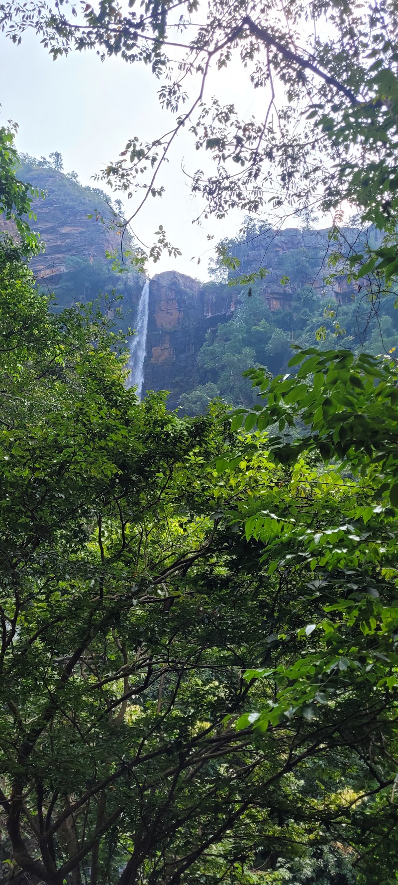 Talakona Waterfalls - Talakona Waterfalls Chittoor District, R668+J9C, Tirupathi, Andhra Pradesh 516101, India