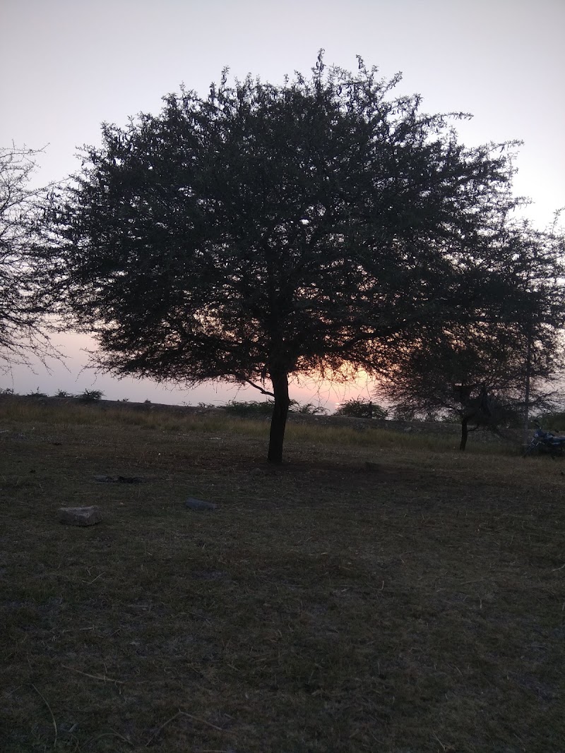 Naip - Naip, Gujarat 364290, India