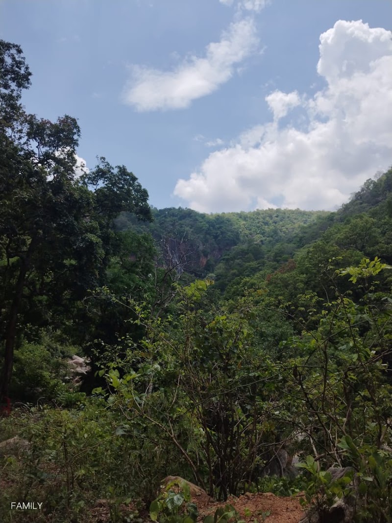 Pine Forest - Pine Forest F7W2+322, Netarhat, Jharkhand 835218, India