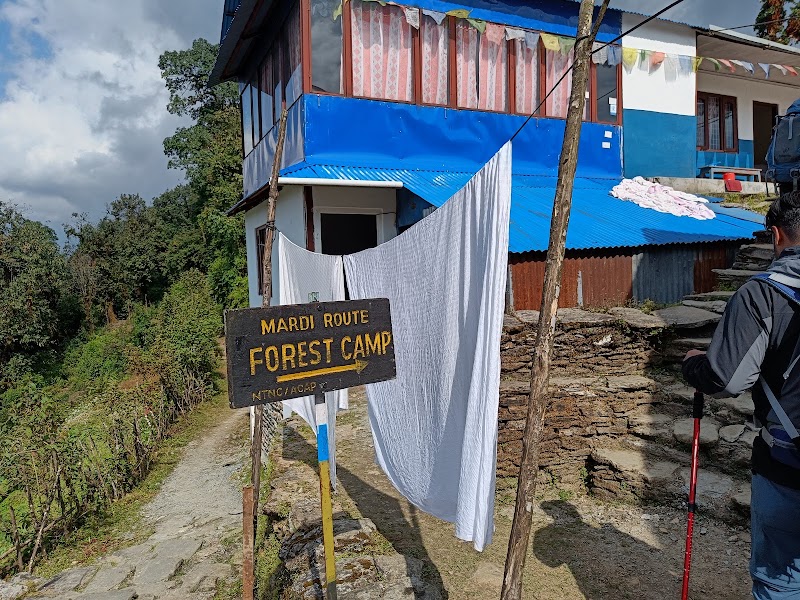 pittam deurali - pittam deurali Nepal, Lumle, Annapurna-7
