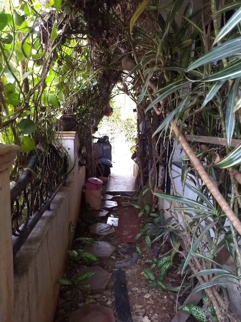 Vertical Garden Home Stay - Vertical Garden Home Stay, #1106, 10 th main, 11th Cross Road, Gokulam 3rd Stage, Gokulam, Mysuru, Karnataka 570002, India
