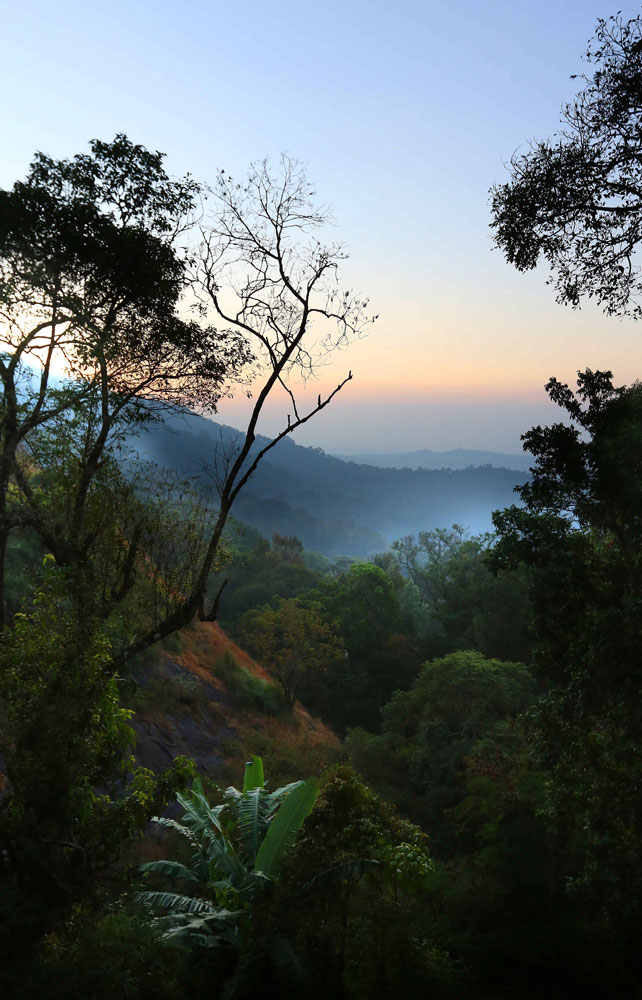 Eagle Mountain Resort - Eagle Mountain Resort, Headworks Dam - 20 Acer Road pothamedu, ottamaram, Munnar, Keralam 685565, India