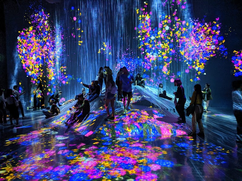 teamLab Borderless: MORI Building DIGITAL ART MUSEUM - teamLab Borderless: MORI Building DIGITAL ART MUSEUM Japan, 〒106-0041 Tokyo, Minato City, Toranomon, 5-chōme−9−９ Azabudai Hills Garden Plaza B, B1