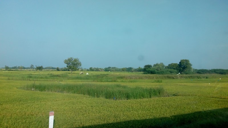 Mahbubnagar - Mahbubnagar, Telangana, India