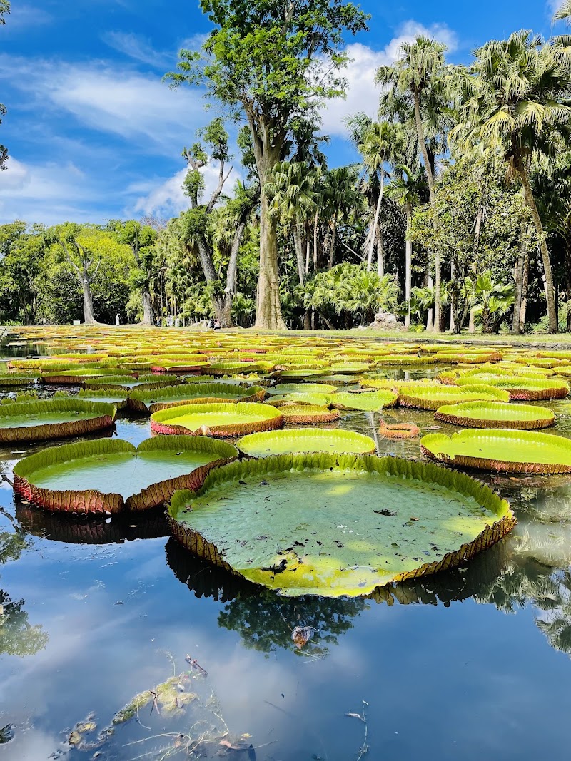 Sir Seewoosagur Ramgoolam Botanical Garden