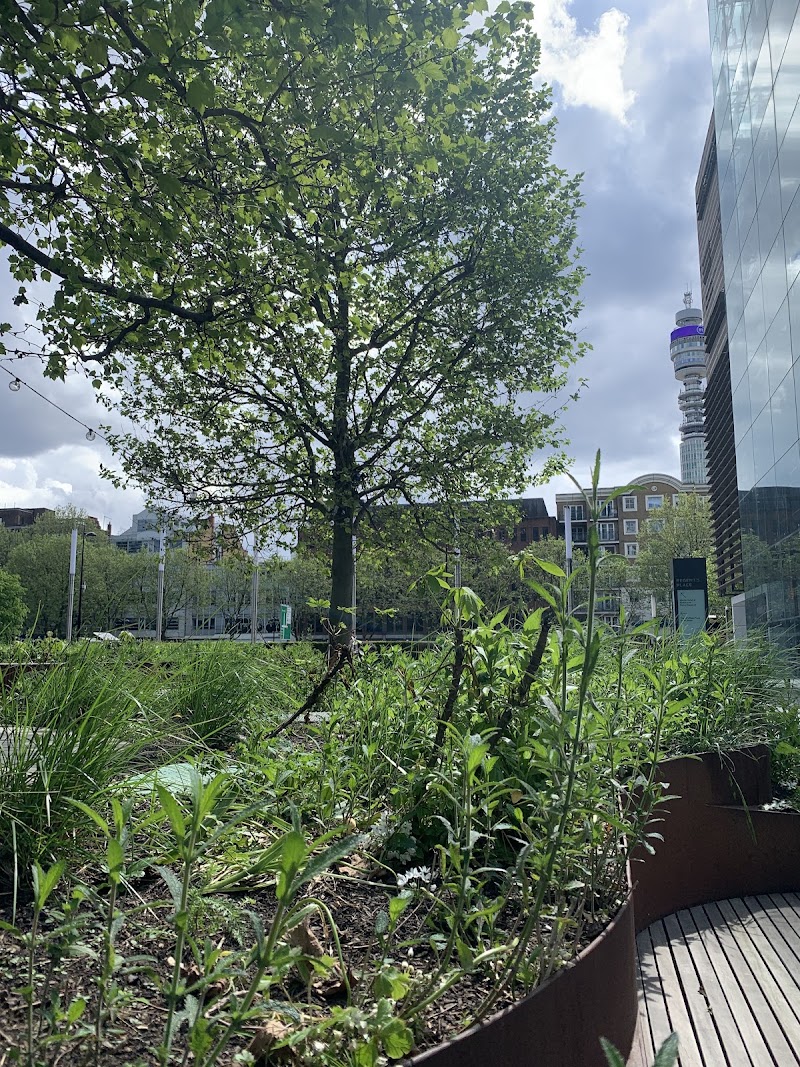 Regent's Place Plaza - Regent's Place Plaza, Euston Rd., London NW1 3DP, UK