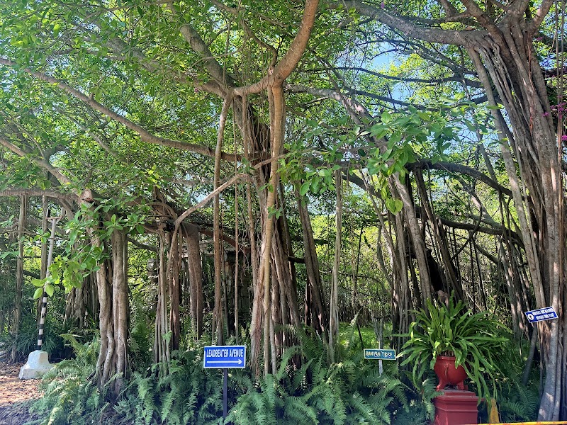 The Theosophical Society - The Theosophical Society, Arunachalapuram, Adyar, Chennai, Tamil Nadu 600020, India