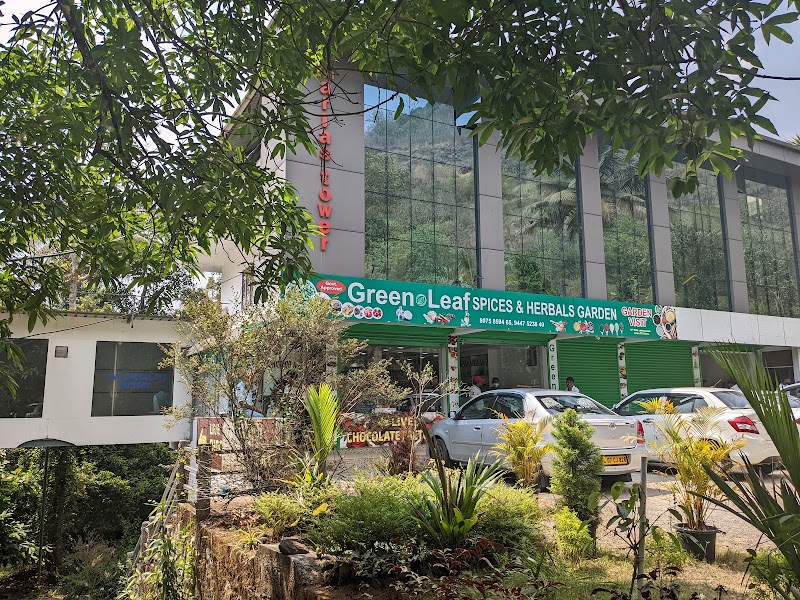 Green Leaf Spices & Herbal Garden - Green Leaf Spices & Herbal Garden, Irumbupalam, po irumbupalam, Irumbupalam, Chillithodu, Keralam 685561, India