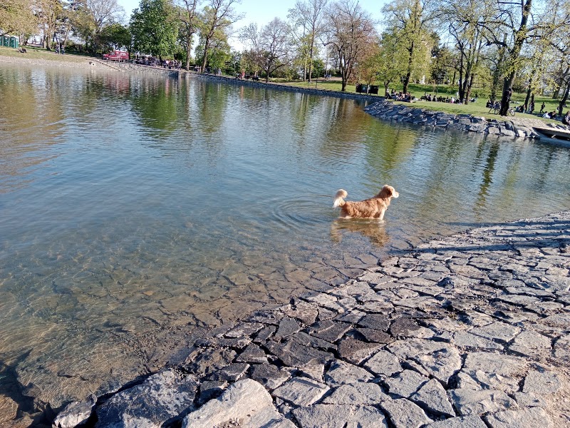 Letná Pond - Letná Pond Letenské sady 173, 170 00 Praha 7-Holešovice, Czechia