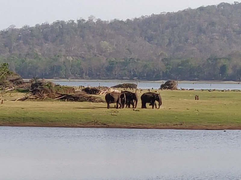 Kabini Reservoir - Kabini Reservoir, Karnataka