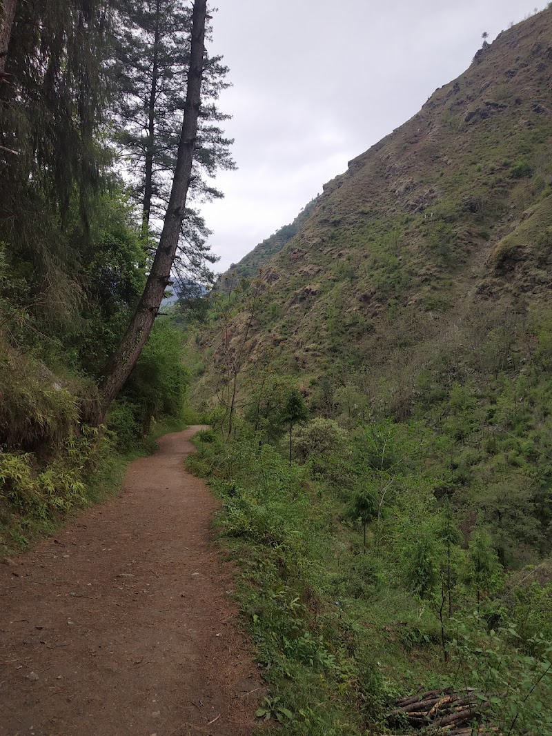 The Whispering Woods Tirthan - The Whispering Woods Tirthan The Whispering Woods Tirthan, Ropajani, Gushaini, Tindar, Himachal Pradesh 175123, India