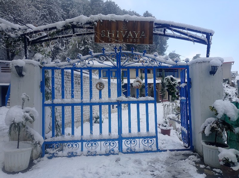 Shivaya since 1953 - Shivaya since 1953 Chauli ki jali, near kmvn guest house, Mukteshwar, Uttarakhand 263158, India