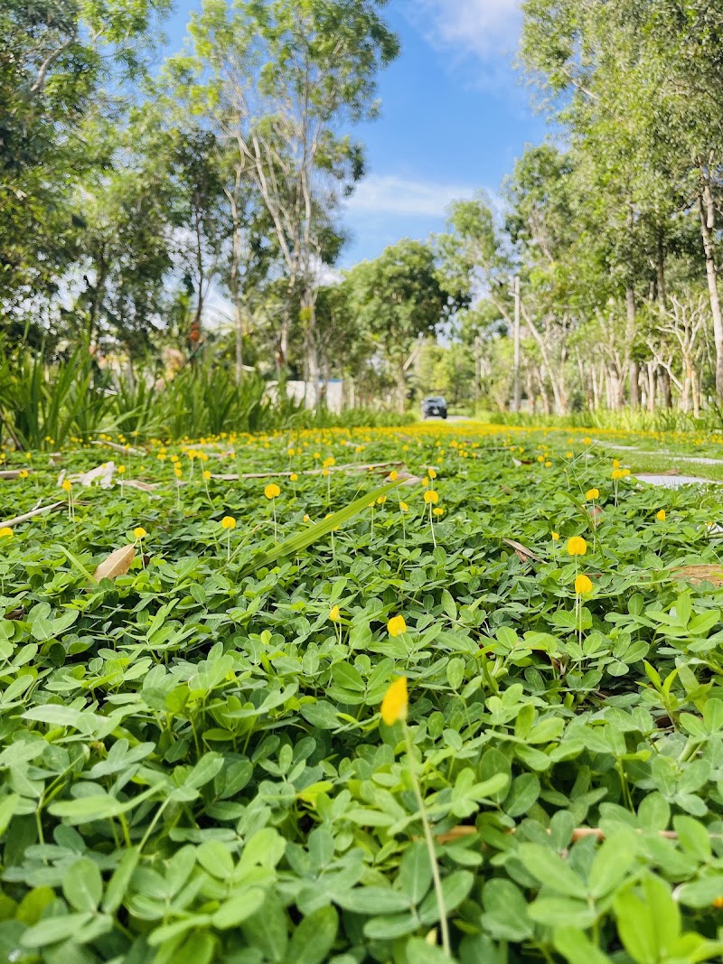 Dạo Beach resort - Dạo Beach resort, Tổ 8 KP4, Phú Quốc, An Giang, Vietnam