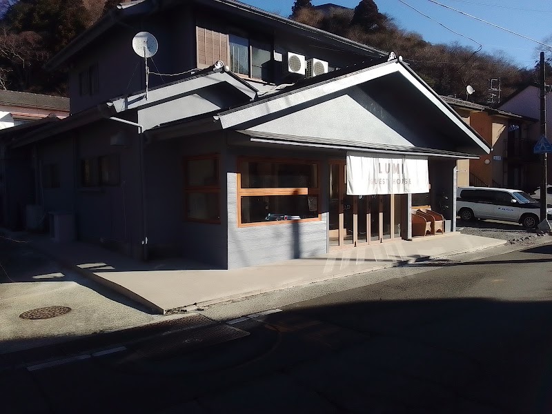 Hostel Hakone Lumi