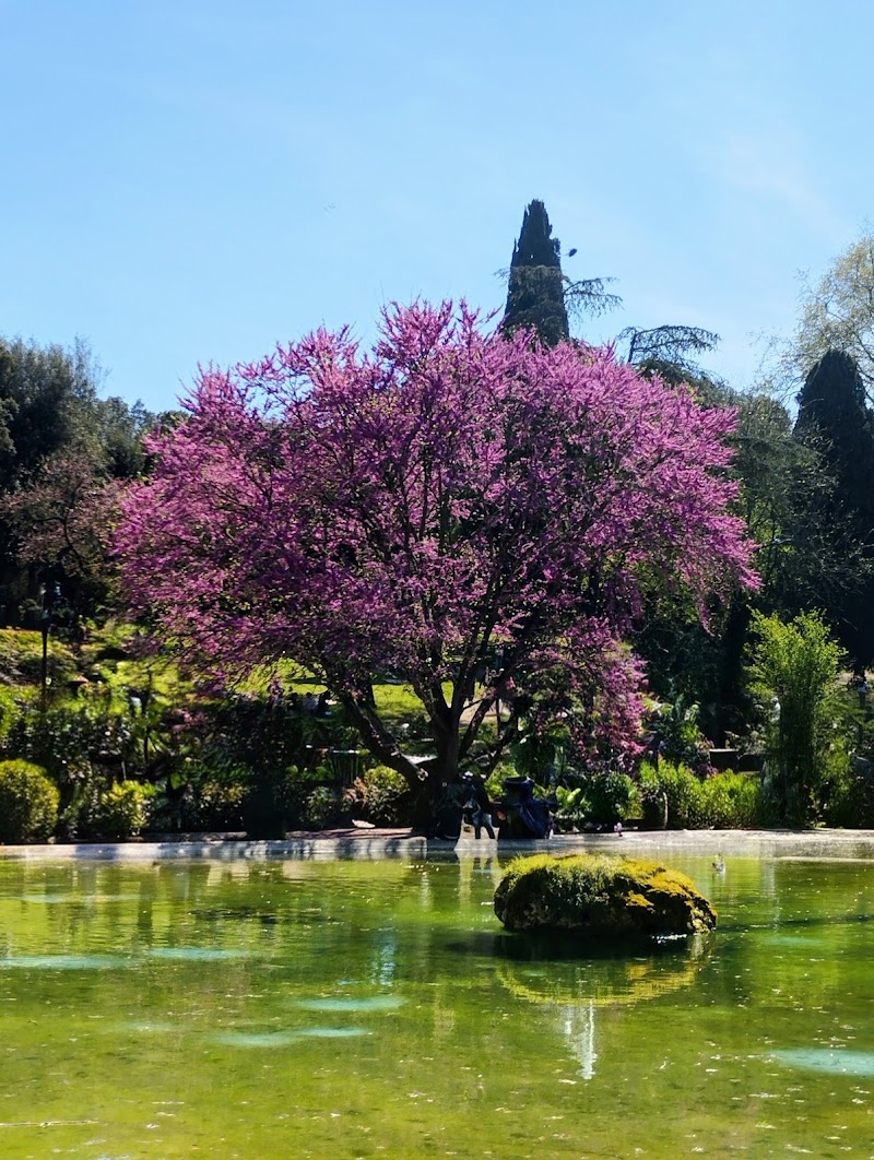Fontana Rotonda di Villa Borghese - Fontana Rotonda di Villa Borghese, Viale della Fontana Rotonda, 00197 Roma RM, Italy