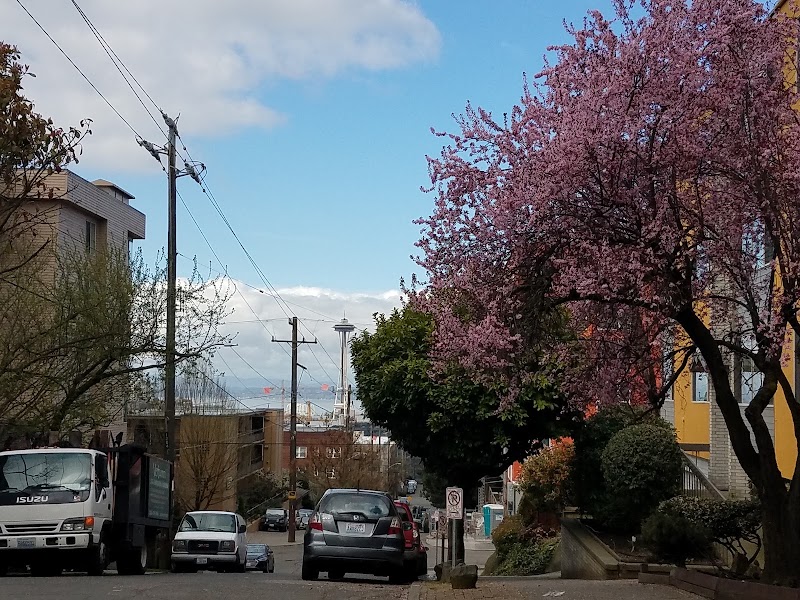 Capitol Hill - Capitol Hill Capitol Hill, Seattle, WA, USA