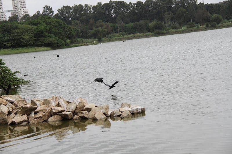 Hebbal Lake - Hebbal Lake, Hebbal Kempapura, Bengaluru, Karnataka 560092