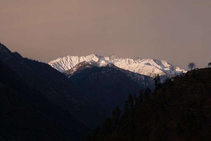 The Social Stays Tirthan - The Social Stays Tirthan, Gushaini, Himachal Pradesh, India, 175123 Gurshaini, Sharchi, Himachal Pradesh 175123, India