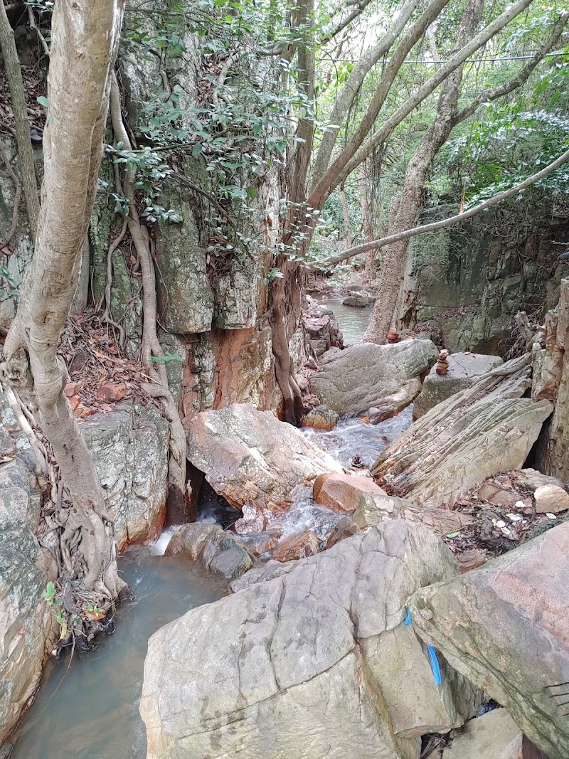 Silathoranam Garden - Silathoranam Garden, Sila Thoranam Rd, Tirumala, Tirupati Urban, Andhra Pradesh 517504, India