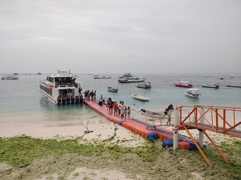 D'camel Fast Boat Point - D'camel Fast Boat Point, Gg. Nusa Indah, Jungutbatu, Kec. Nusa Penida, Kabupaten Klungkung, Bali 80771, Indonesia