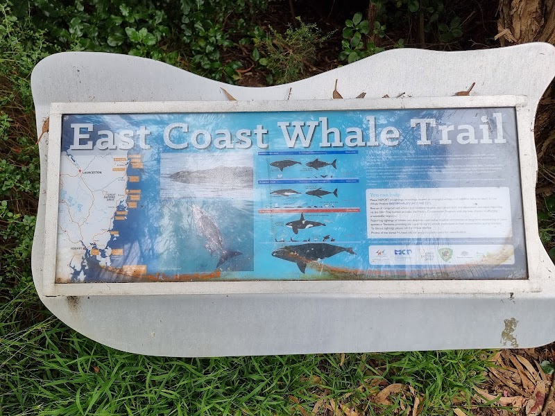 Bicheno Blowhole - Bicheno Blowhole, Douglas St, Bicheno TAS 7215, Australia