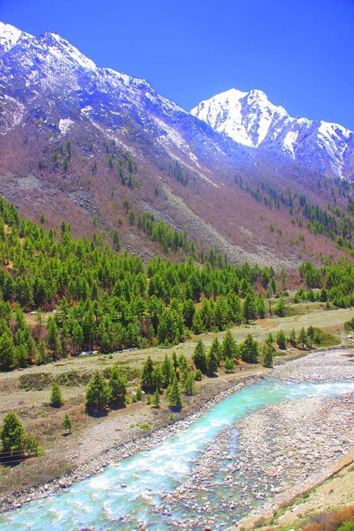 Batseri - Batseri Batseri, Himachal Pradesh 172106, India