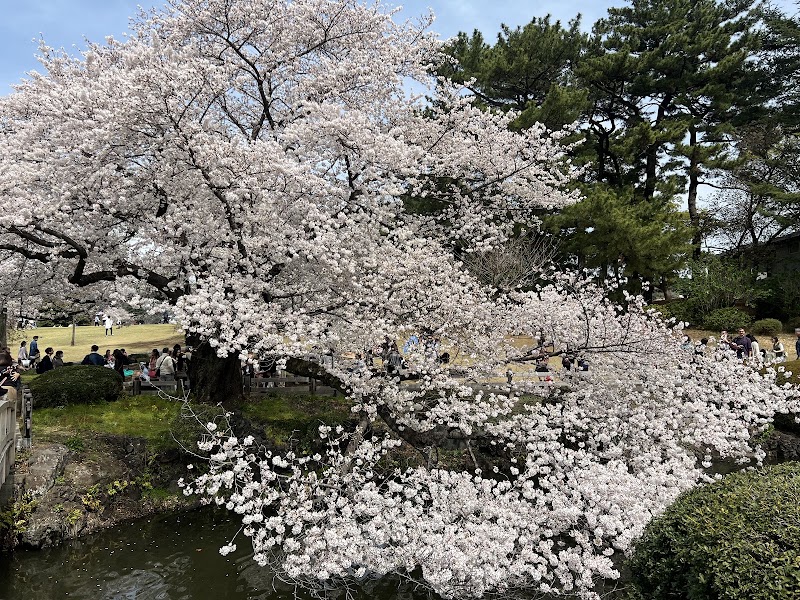 Yoyogi Park - Yoyogi Park 2-1 Yoyogikamizonochō, Shibuya, Tokyo 151-0052, Japan