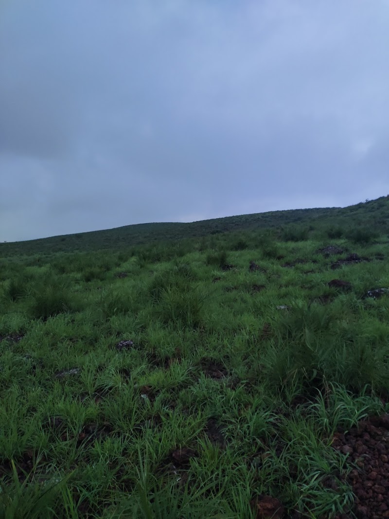 Gudisa Hills Station - Gudisa Hills Station QPXR+FRJ, Gudisa Rd, Gudisa, Andhra Pradesh 533295, India