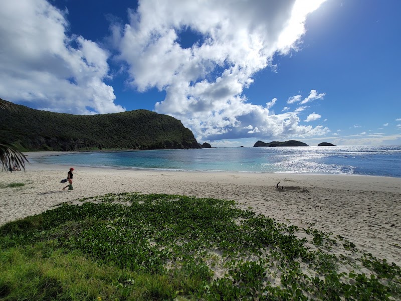 Neds Beach - Neds Beach, New South Wales, Australia
