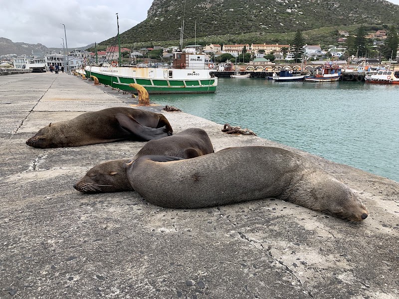 Kalk Bay Harbour - Kalk Bay Harbour, 167-181 M4, Fish Hoek, Cape Town, 7990, South Africa