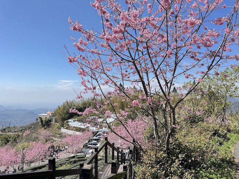 Mist Trail - Mist Trail 604, Taiwan, Chiayi County, Zhuqi Township, 16