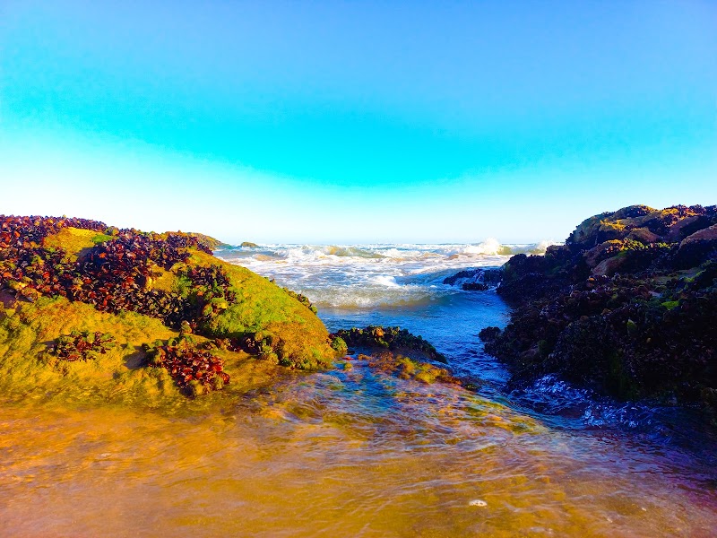 Wilderness Beach - Wilderness Beach, Marine Dr, Wilderness, 6560, South Africa