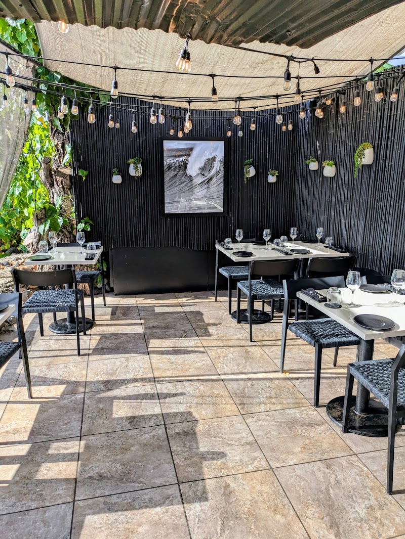 Honu Oceanside