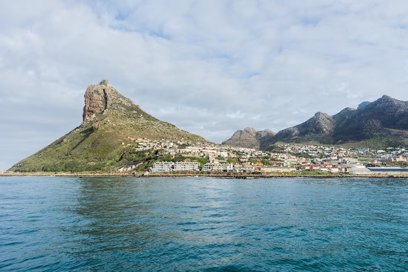 Hout Bay Harbour - Hout Bay Harbour, Cape Town, 7806, South Africa
