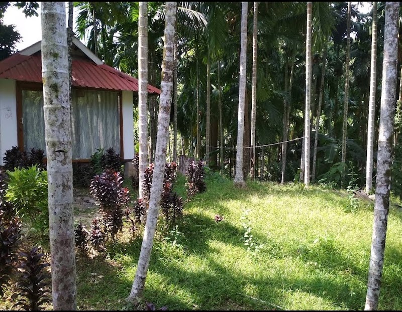 Havelock Nagri Resort