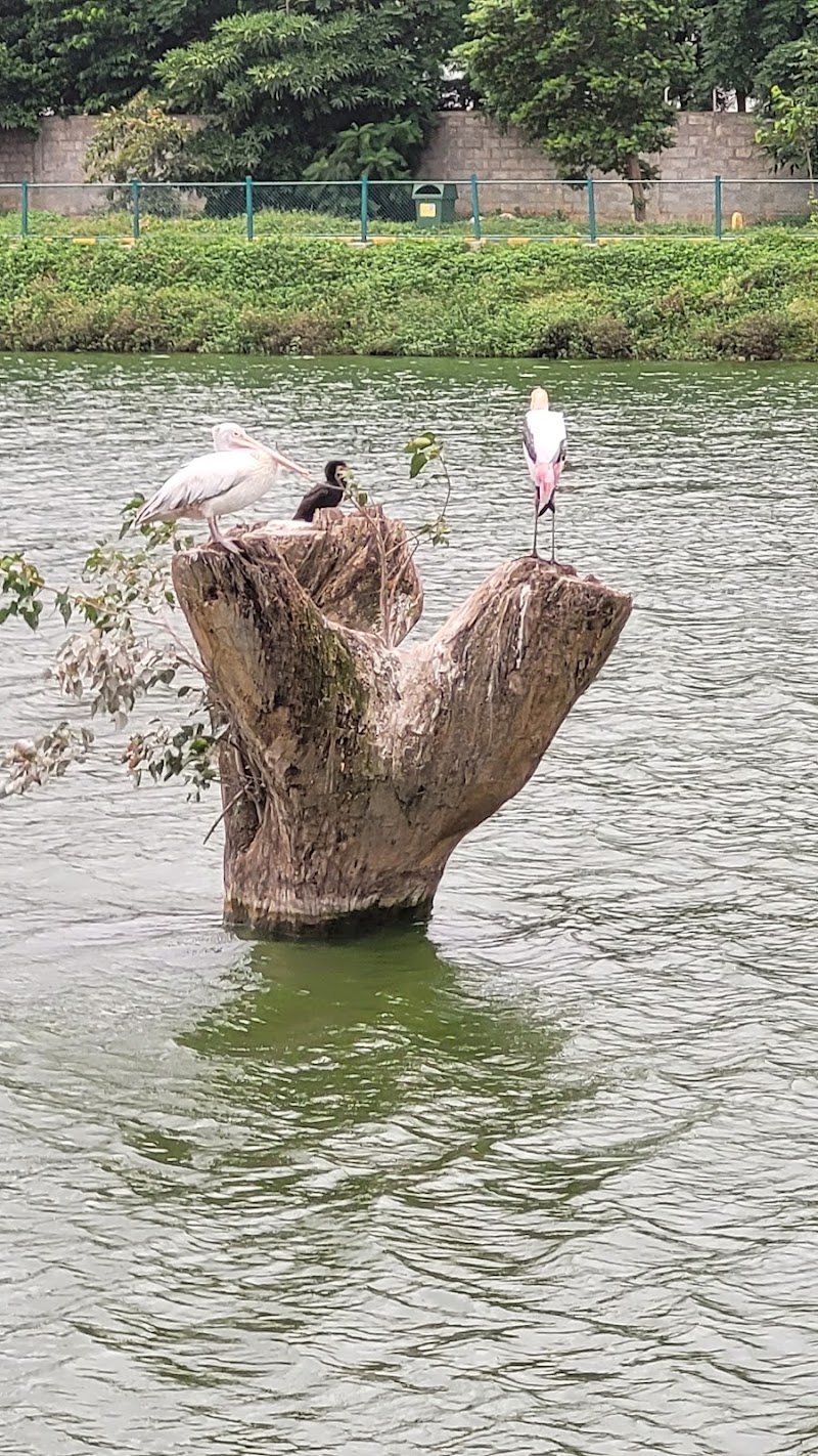 Sarakki Lake - Sarakki Lake 11th Cross, K.R Layout, Puttenahalli Rd, JP Nagar 6th Phase, MG Layout, JP Nagar Phase 6, J. P. Nagar, Bengaluru, Karnataka 560078, India