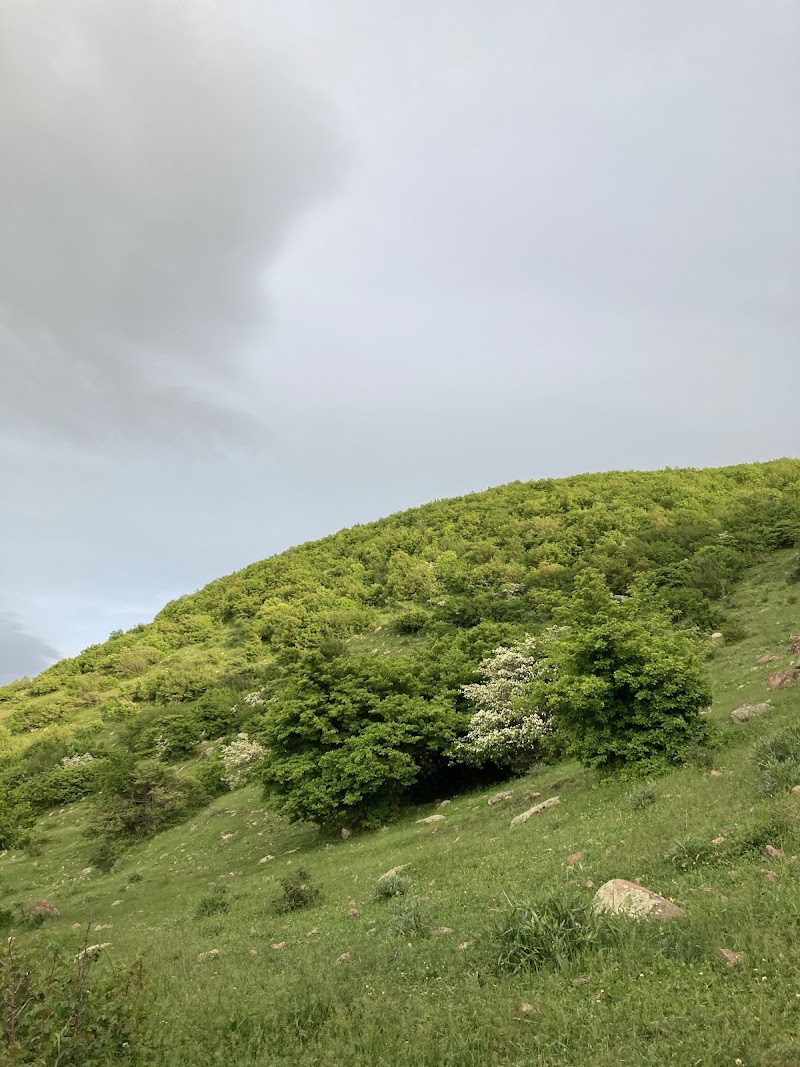 Fındıqlı - Fındıqlı, East Azerbaijan Province, Bohal, جاده روستای بهل، 976C+JPQ, Iran