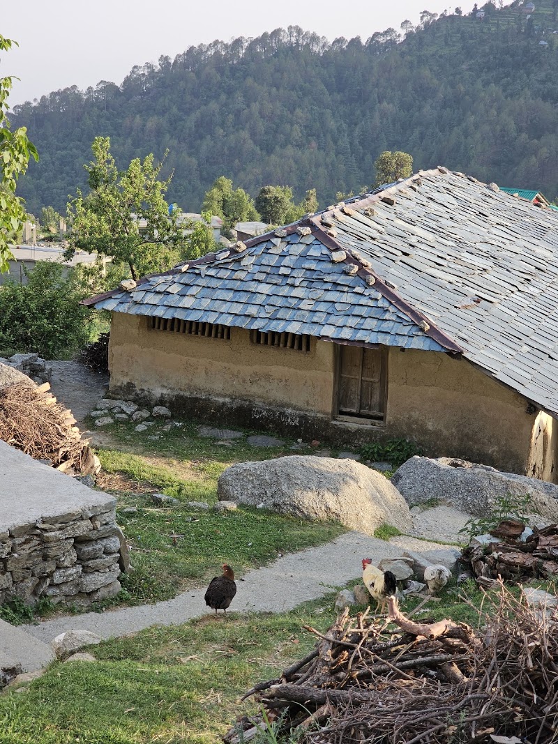 Forest Rest House Kareri - Forest Rest House Kareri 77JJ+954, Dharamshala, Kareri Khas, Himachal Pradesh 176216, India