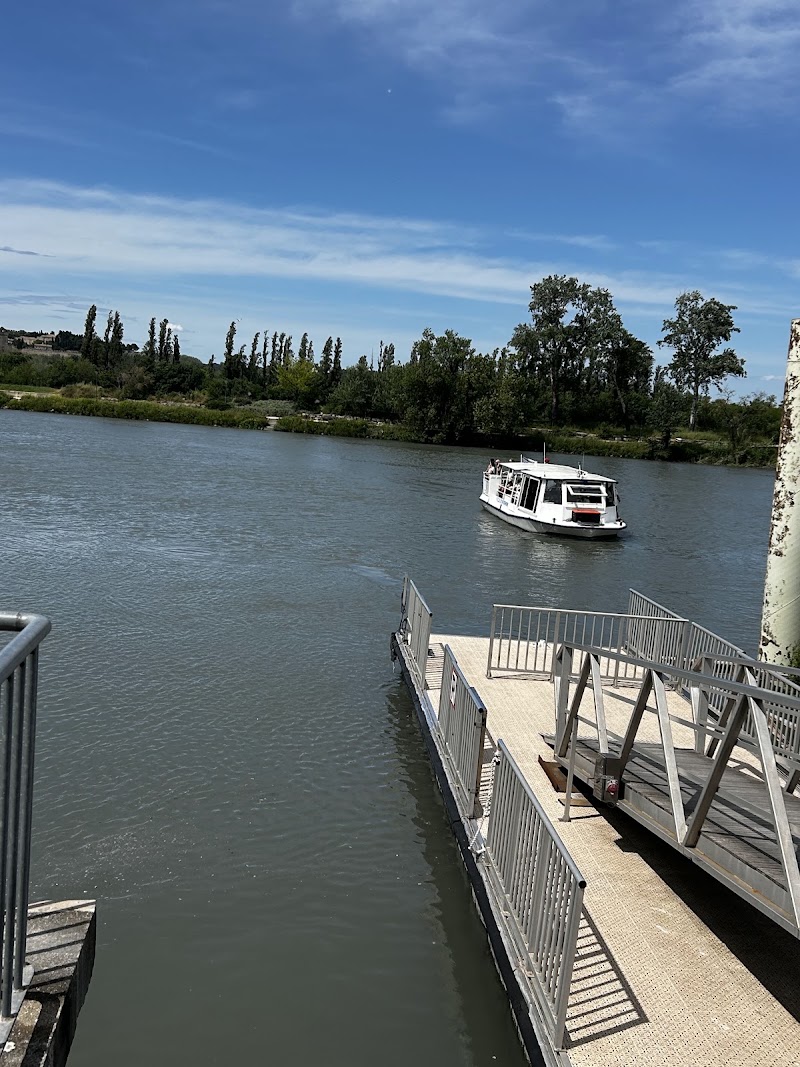 île de la Barthelasse - île de la Barthelasse île de la Barthelasse, 84000 Avignon, France