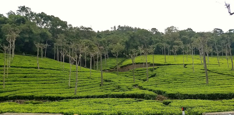 Kotagiri - Kotagiri Kotagiri, Tamil Nadu, India