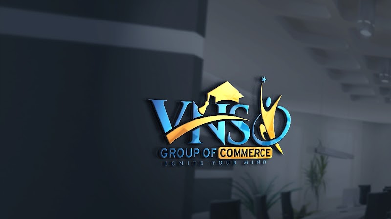 VNS GROUP OF COMMERCE