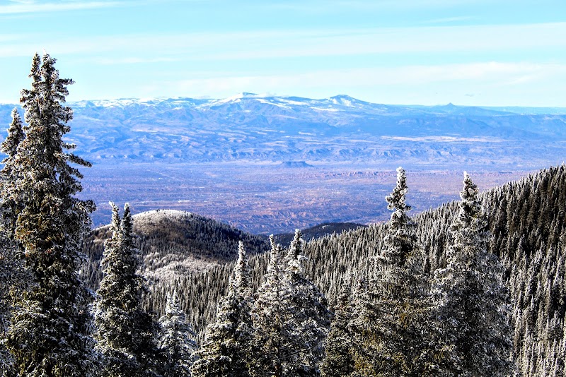 Los Alamos - Los Alamos, NM 87544, USA