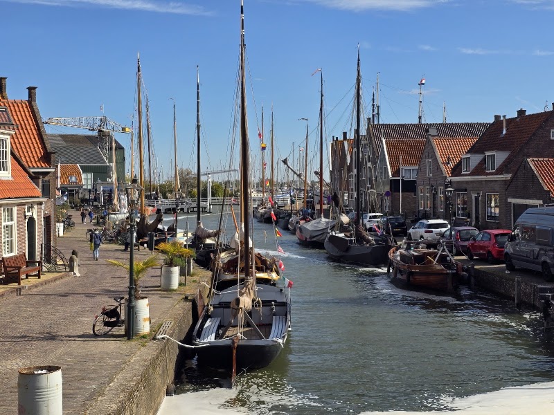Amsterdam Tulips Tour - Amsterdam Tulips Tour, Oosterdoksstraat 4, 1011 DK Amsterdam, Netherlands