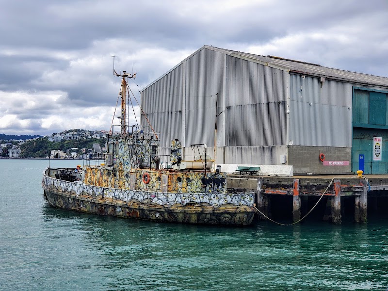 The Wharf, Wellington - The Wharf, Wellington, Level 1/57 Customhouse Quay, Wellington Central, Wellington 6011, New Zealand